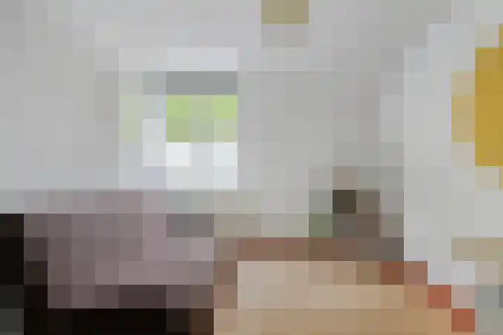 Weteringlaan 199 Tilburg thumbnail 25