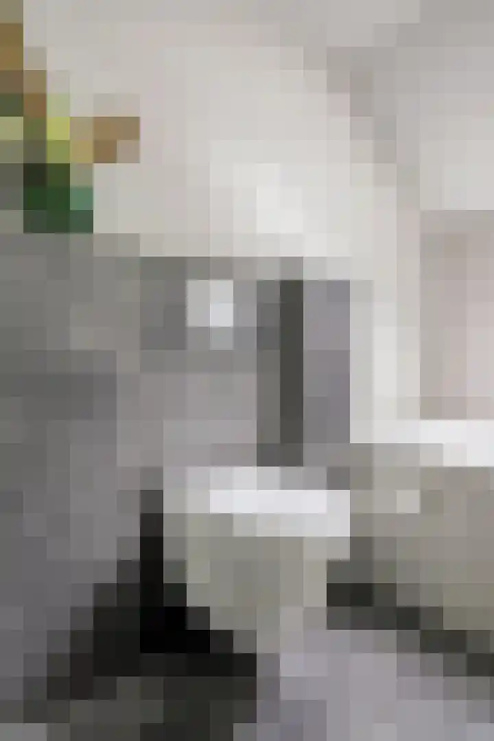 Weteringlaan 199 Tilburg thumbnail 29