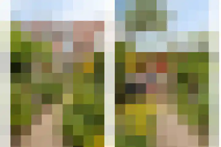 Weteringlaan 199 Tilburg thumbnail 33