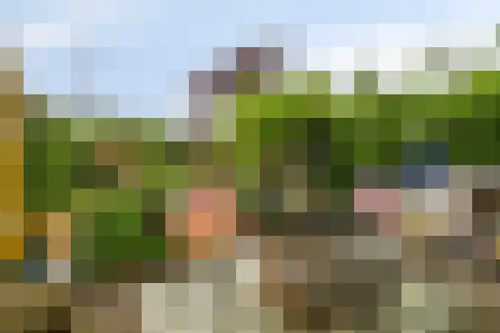 Weteringlaan 199 Tilburg thumbnail 34
