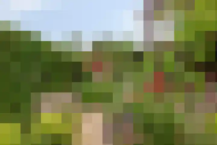 Weteringlaan 199 Tilburg thumbnail 36