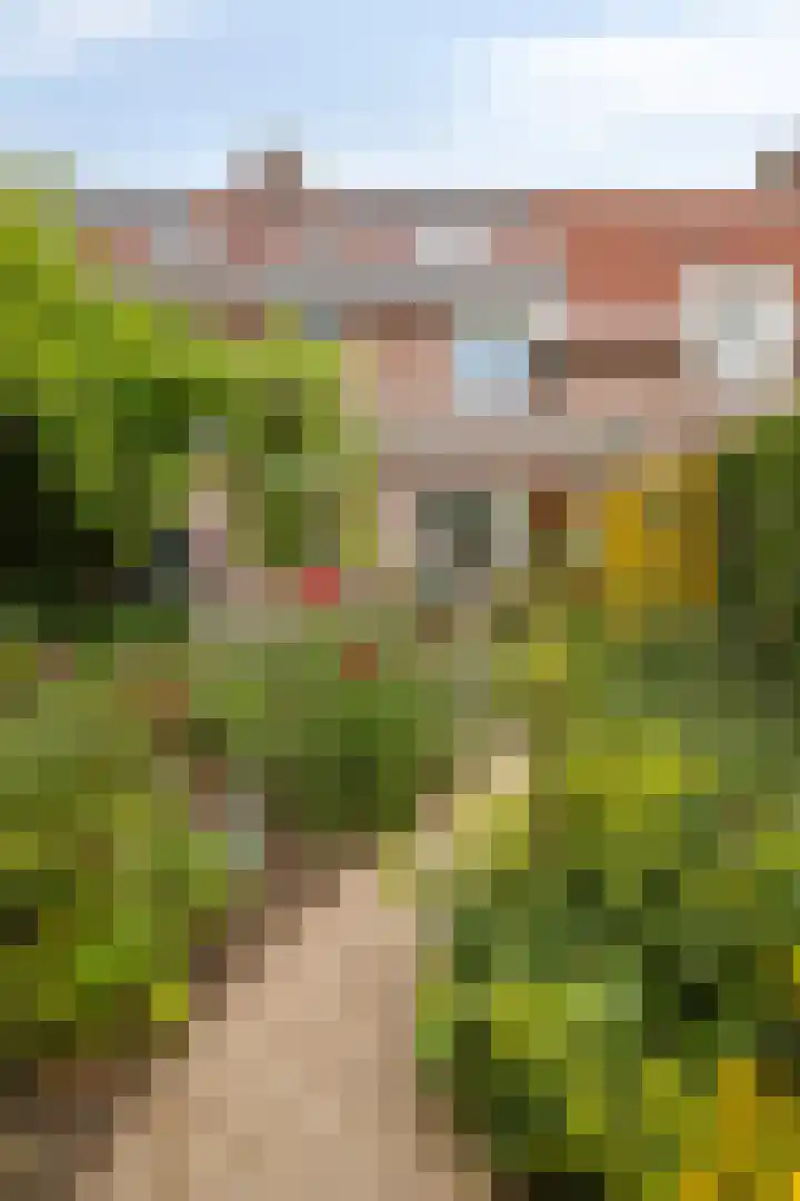 Weteringlaan 199 Tilburg thumbnail 38