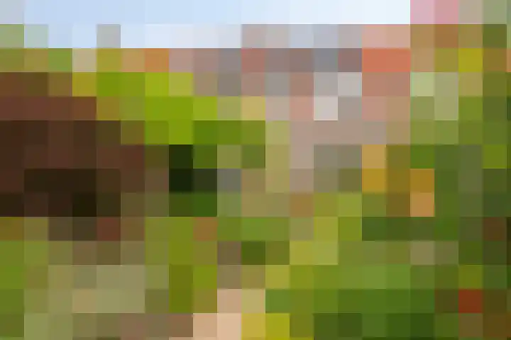 Weteringlaan 199 Tilburg thumbnail 40