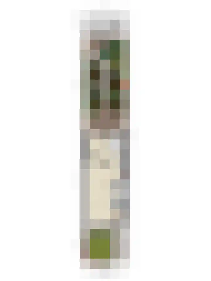 Weteringlaan 199 Tilburg thumbnail 42