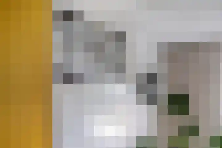 Weteringlaan 199 Tilburg thumbnail 5