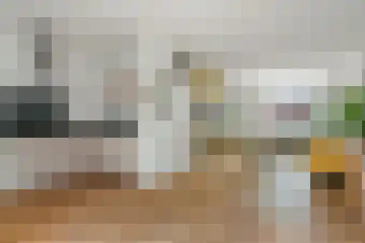Weteringlaan 199 Tilburg thumbnail 9