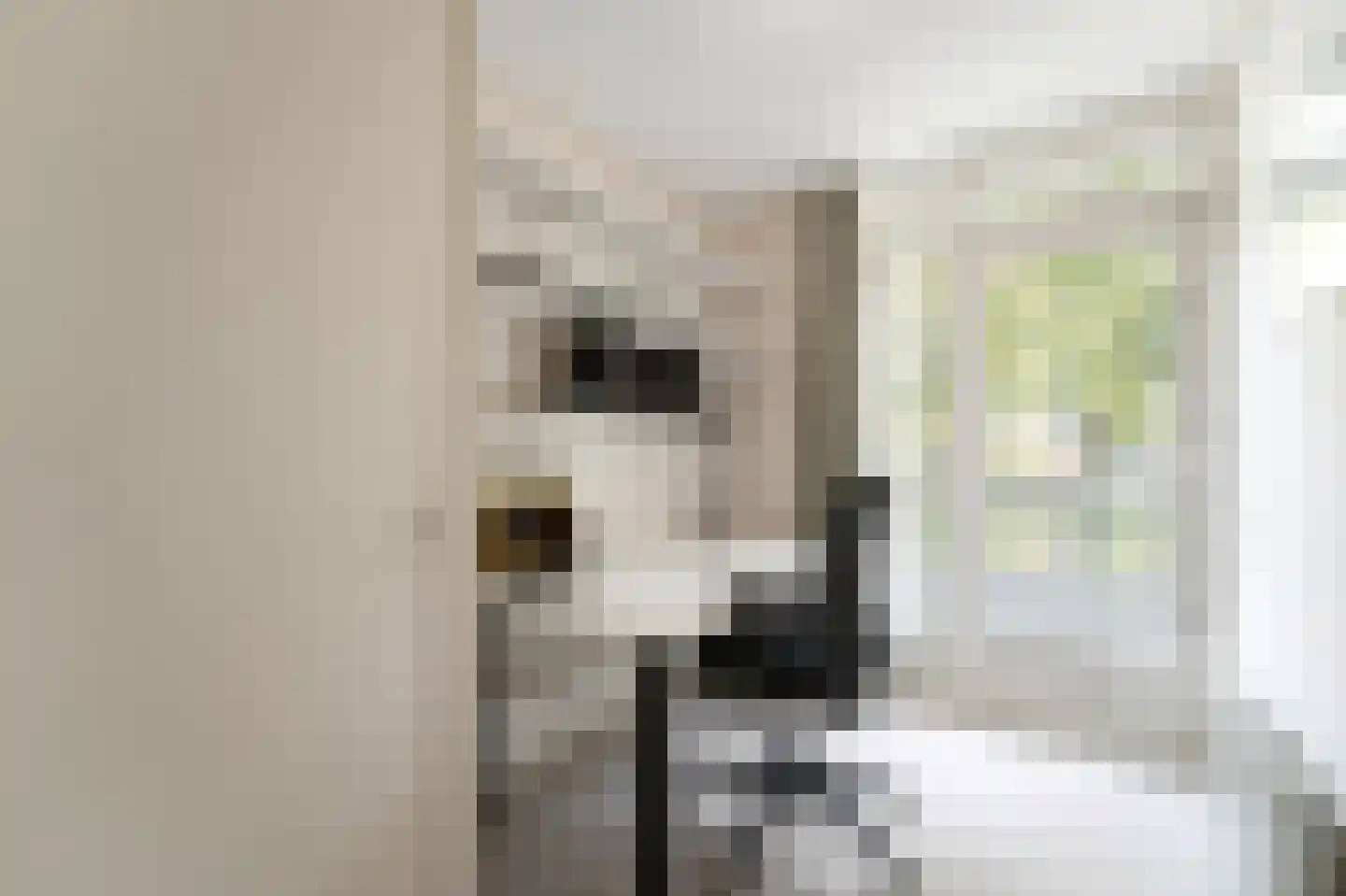 Weteringlaan 9 Delft thumbnail 42