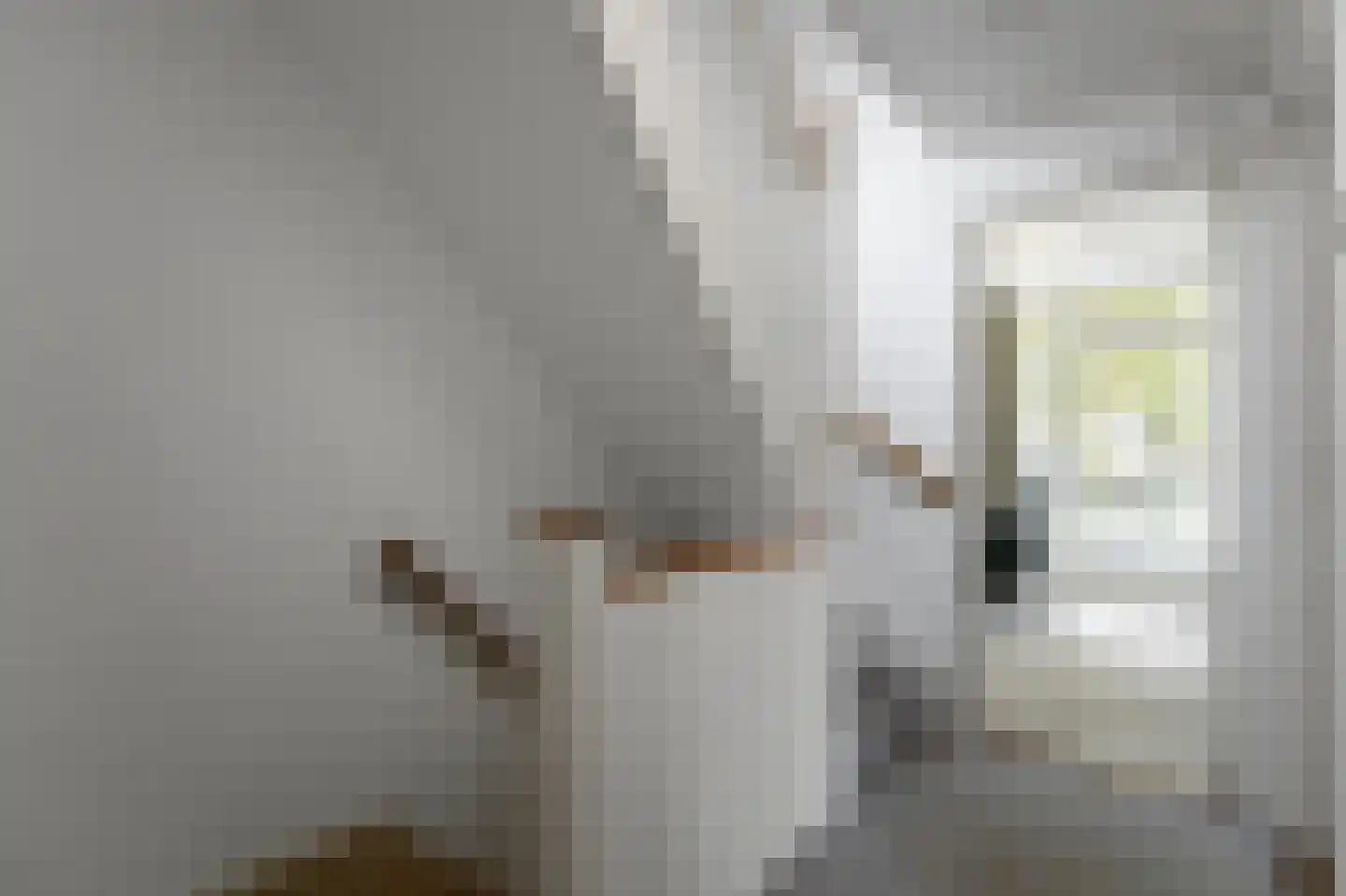 Weteringlaan 9 Delft thumbnail 44