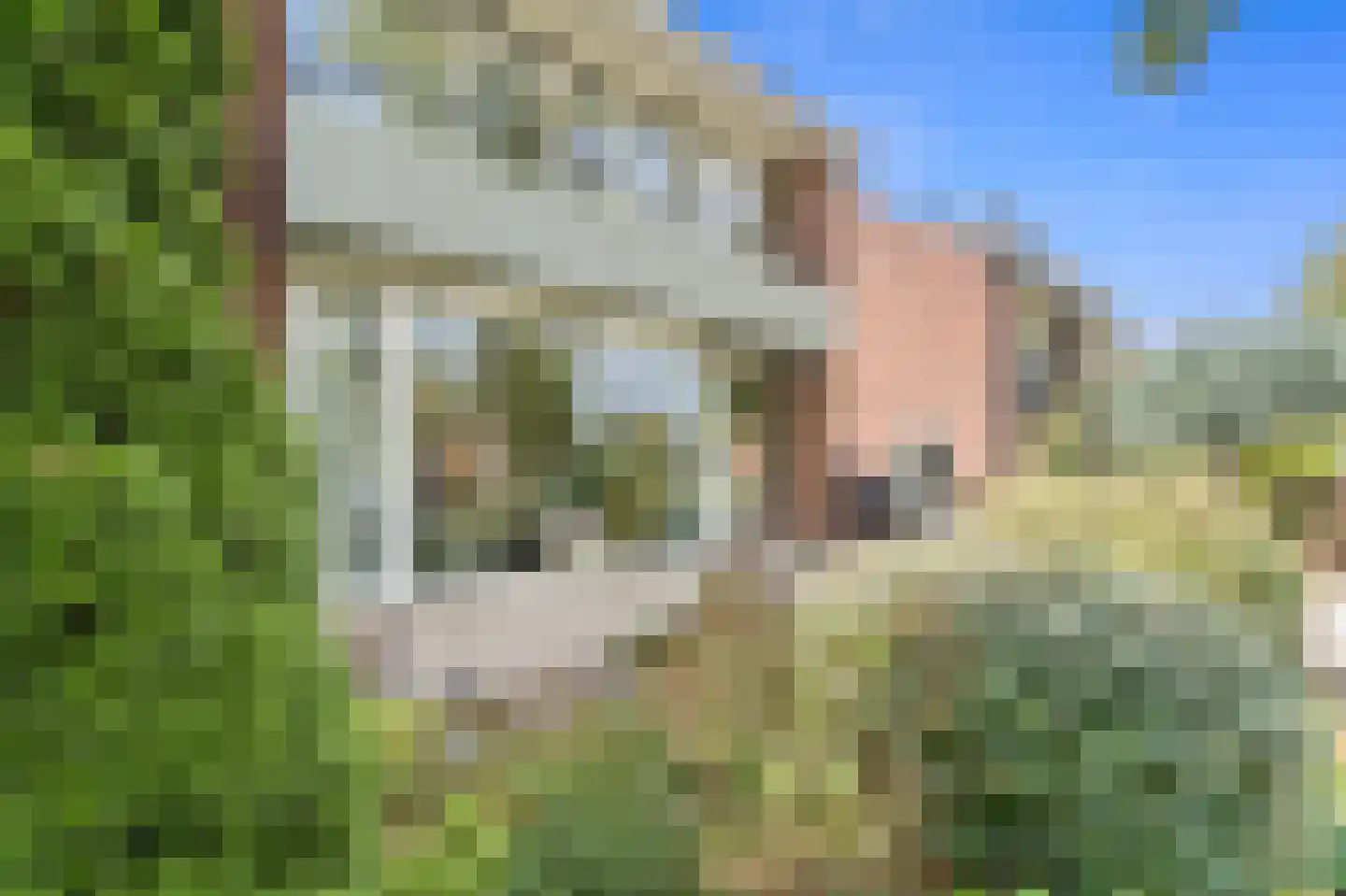 Weteringlaan 9 Delft thumbnail 6