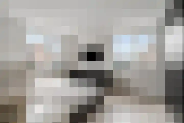 Weteringlaan 9 Oude Wetering thumbnail 10