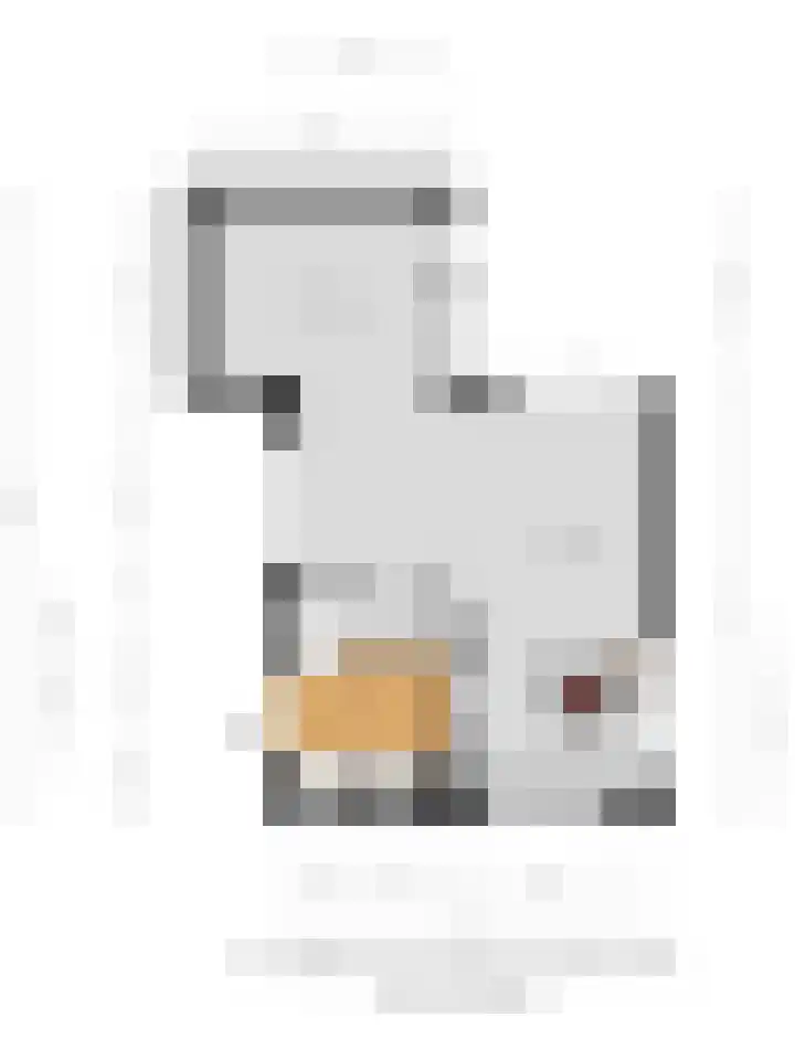 Weteringlaan 9 Oude Wetering thumbnail 23