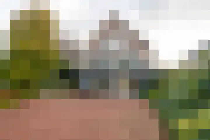 Weteringpad 25 Woubrugge thumbnail 35