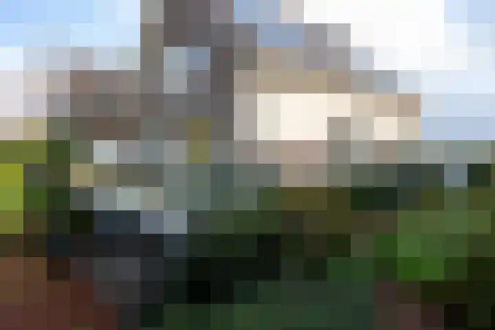 Weteringpad 25 Woubrugge thumbnail 37