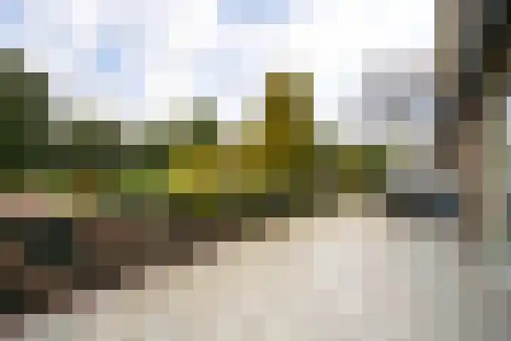 Weteringpad 25 Woubrugge thumbnail 38
