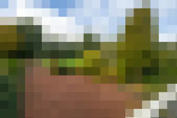 Weteringpad 25 Woubrugge thumbnail 39