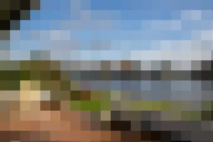 Weteringpad 25 Woubrugge thumbnail 42