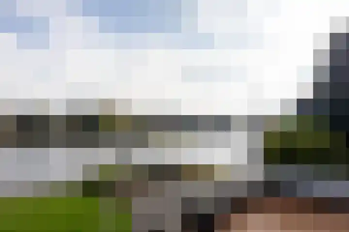 Weteringpad 25 Woubrugge thumbnail 43