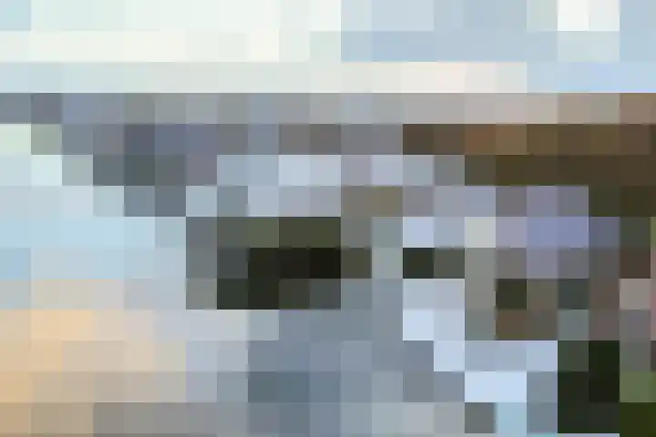 Weteringpad 25 Woubrugge thumbnail 46