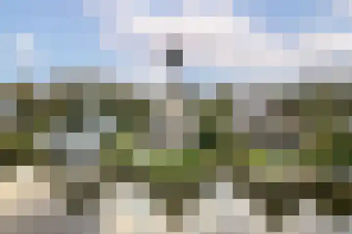Weteringpad 25 Woubrugge thumbnail 49