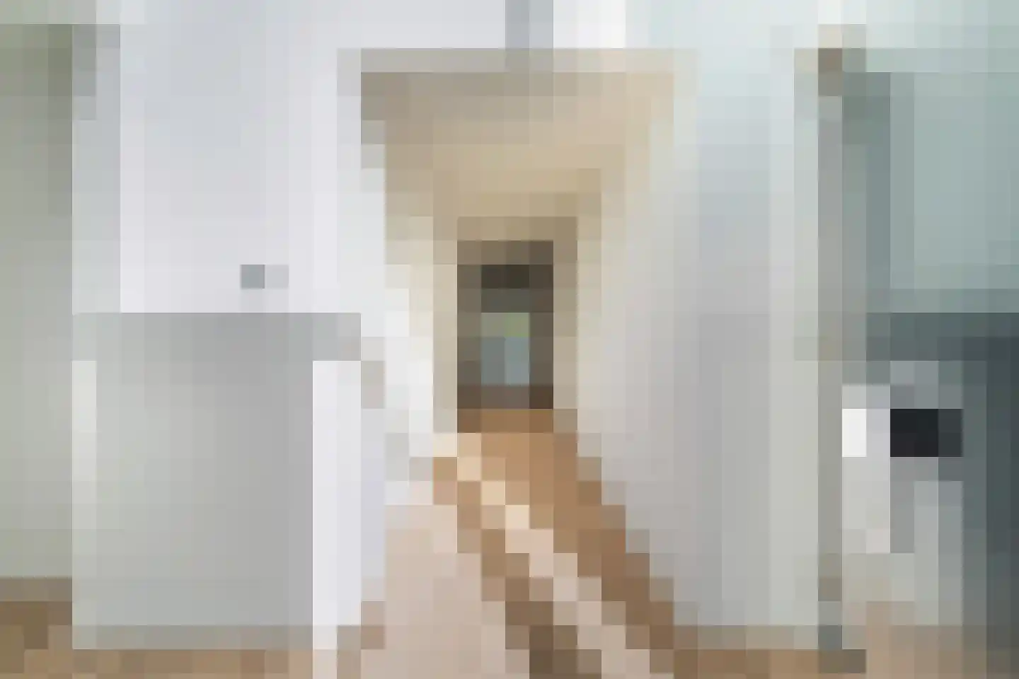 Weteringpad 35 Woubrugge thumbnail 15