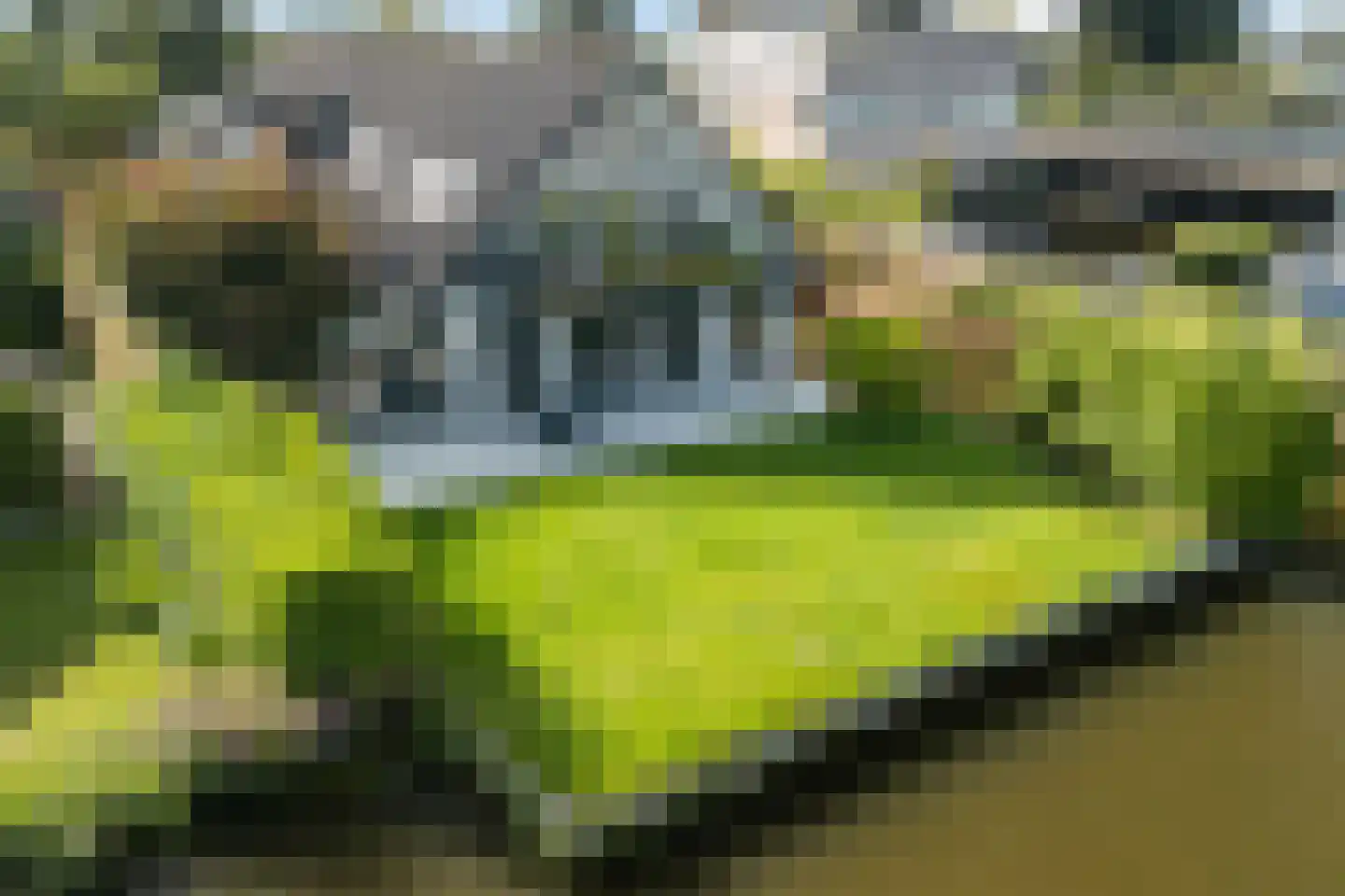 Weteringpad 35 Woubrugge thumbnail 30