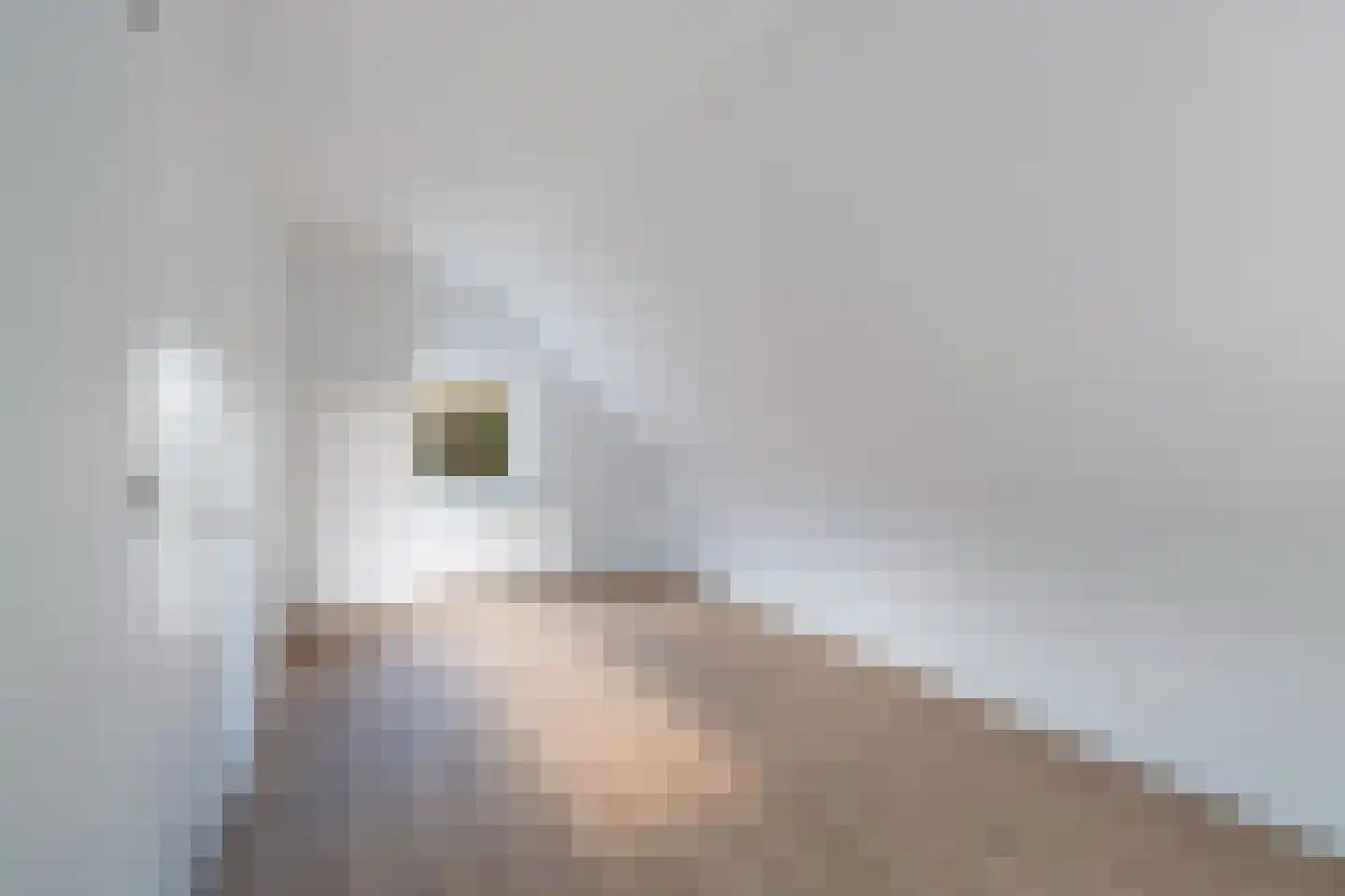 Weteringpad 35 Woubrugge thumbnail 58