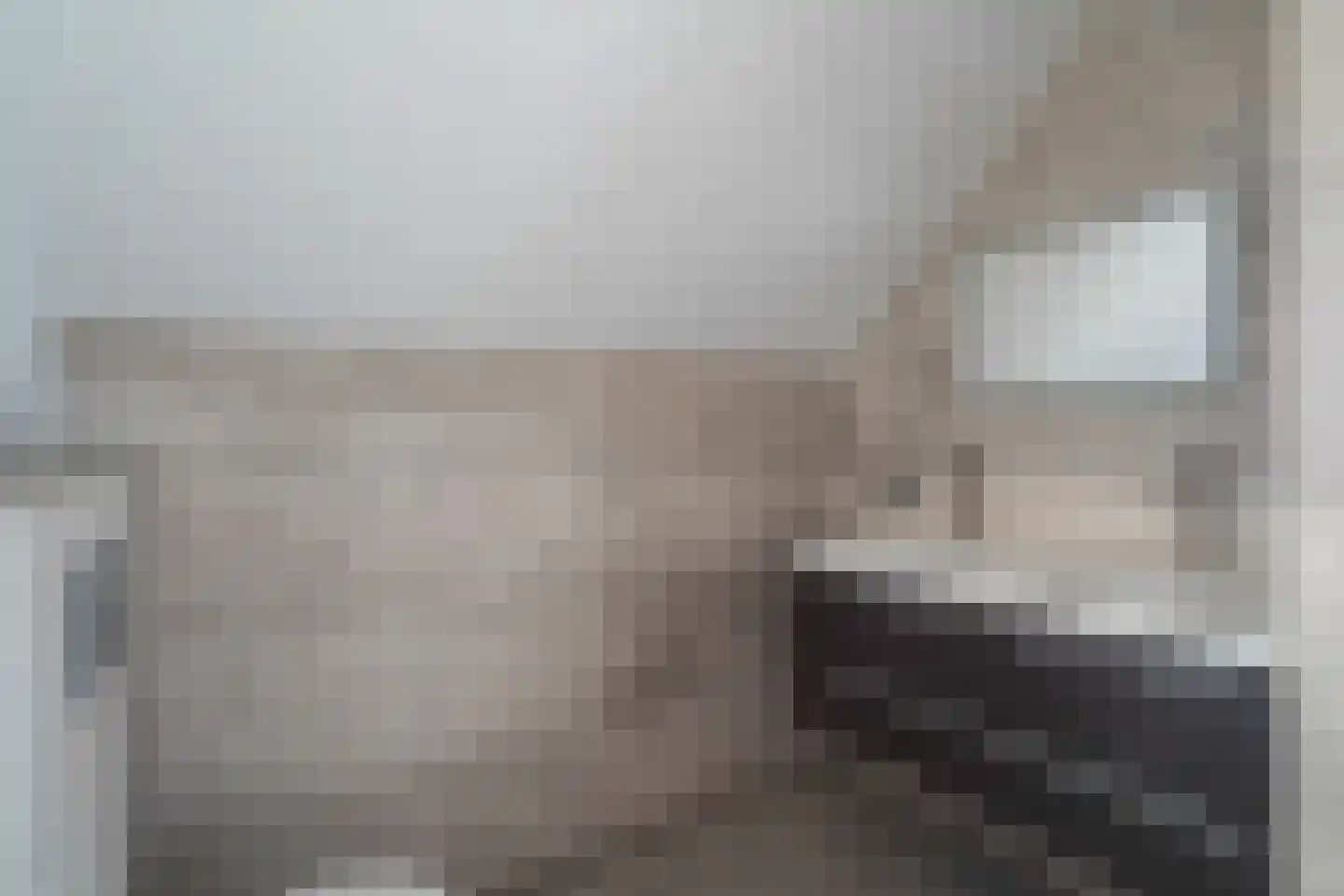 Weteringpad 35 Woubrugge thumbnail 64