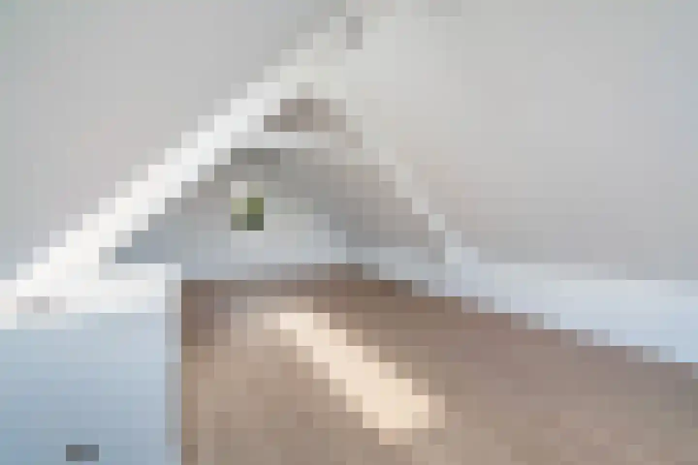 Weteringpad 35 Woubrugge thumbnail 67