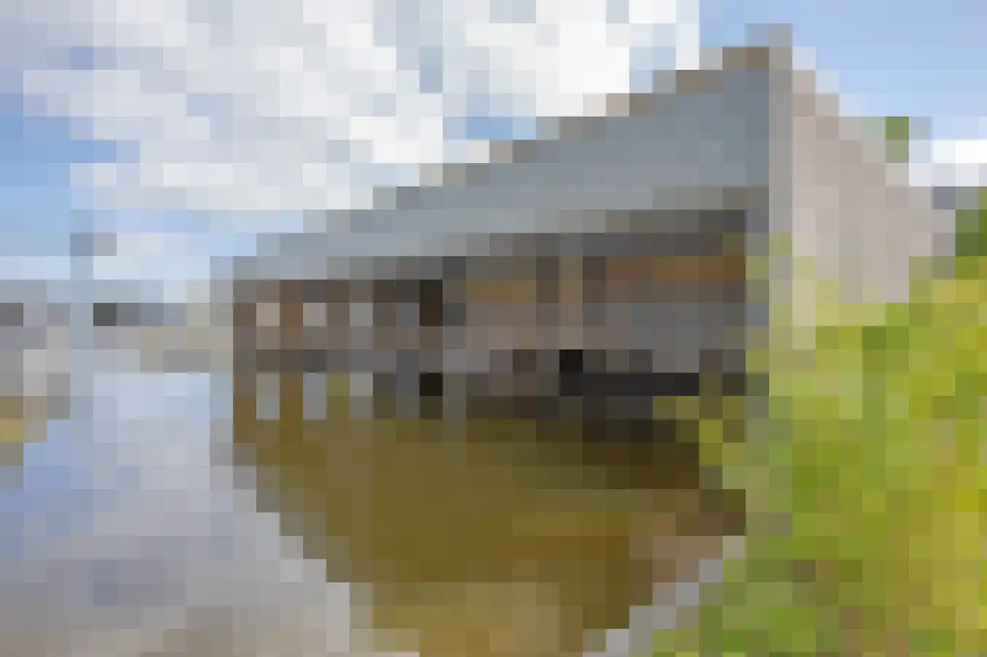 Weteringpad 37 a Woubrugge thumbnail 15