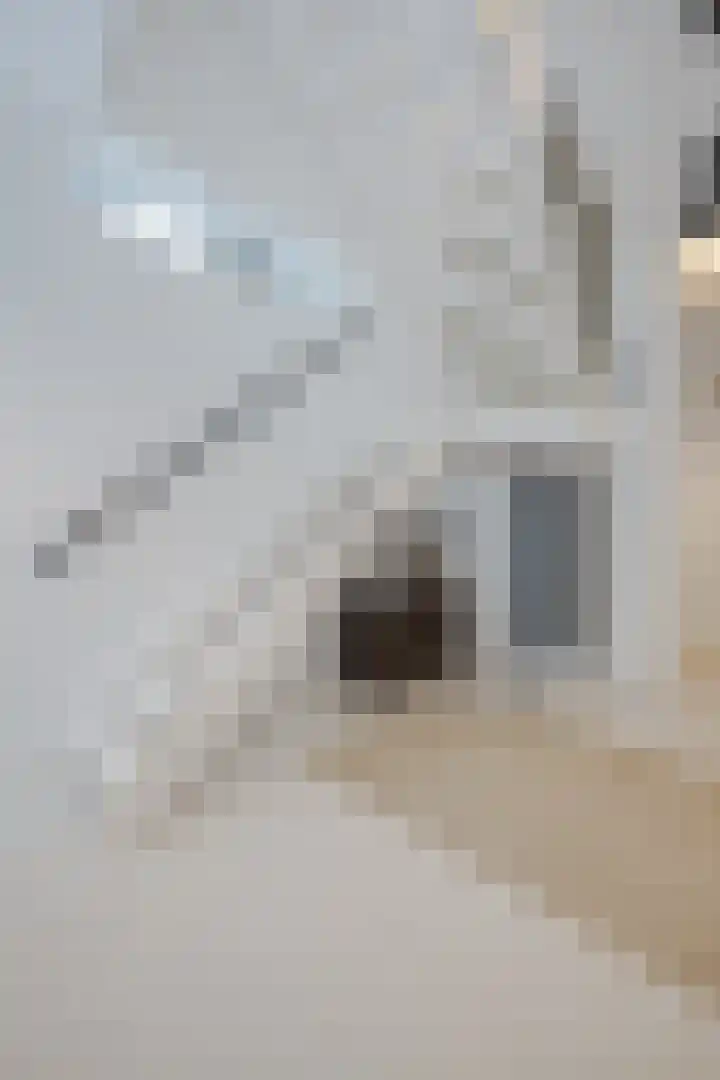 Weteringpad 37 a Woubrugge thumbnail 21