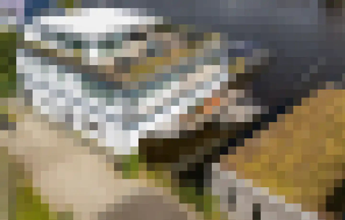 Weteringpad 37 a Woubrugge thumbnail 4