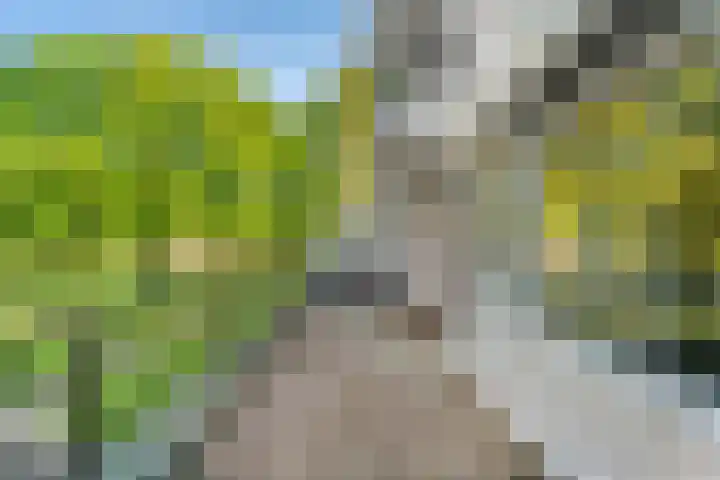 Weteringpark 7 10 Zwolle thumbnail 15