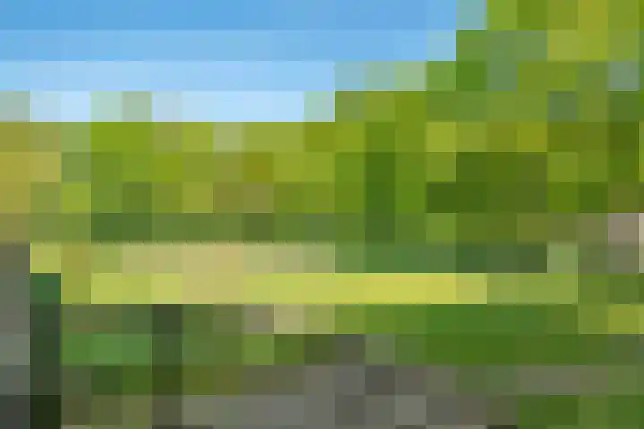 Weteringpark 7 10 Zwolle thumbnail 16
