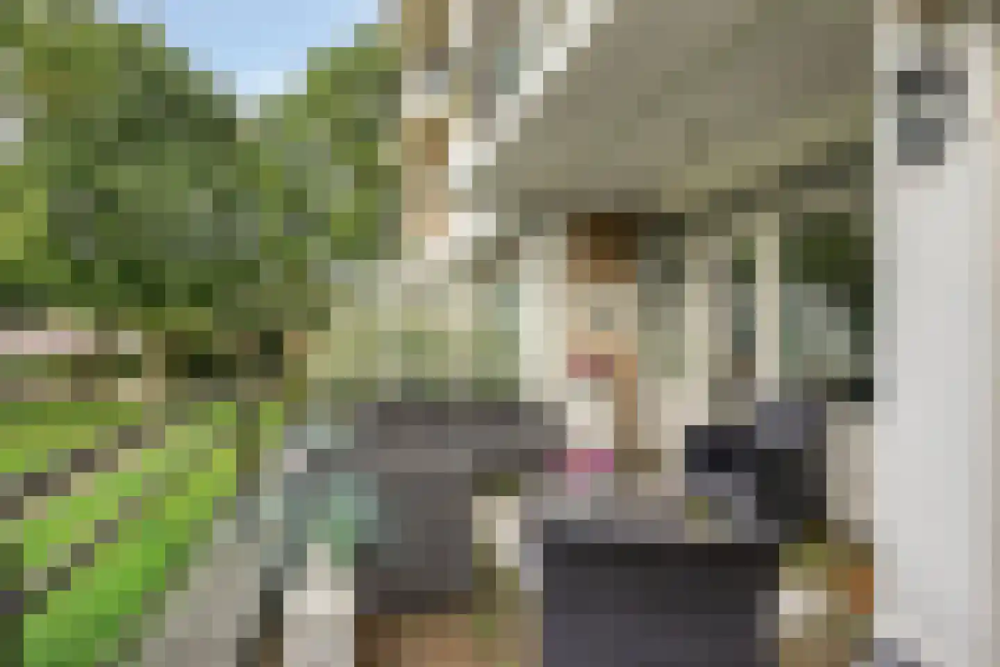 Weteringpark 7 10 Zwolle thumbnail 17