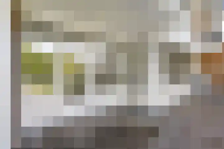 Weteringpark 7 10 Zwolle thumbnail 17