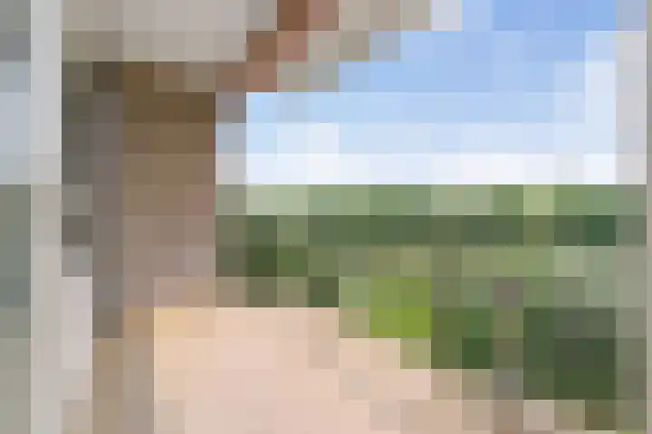 Weteringpark 7 42 Zwolle thumbnail 7