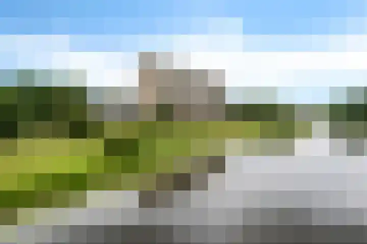 Weteringpark 7 80 Zwolle thumbnail 31