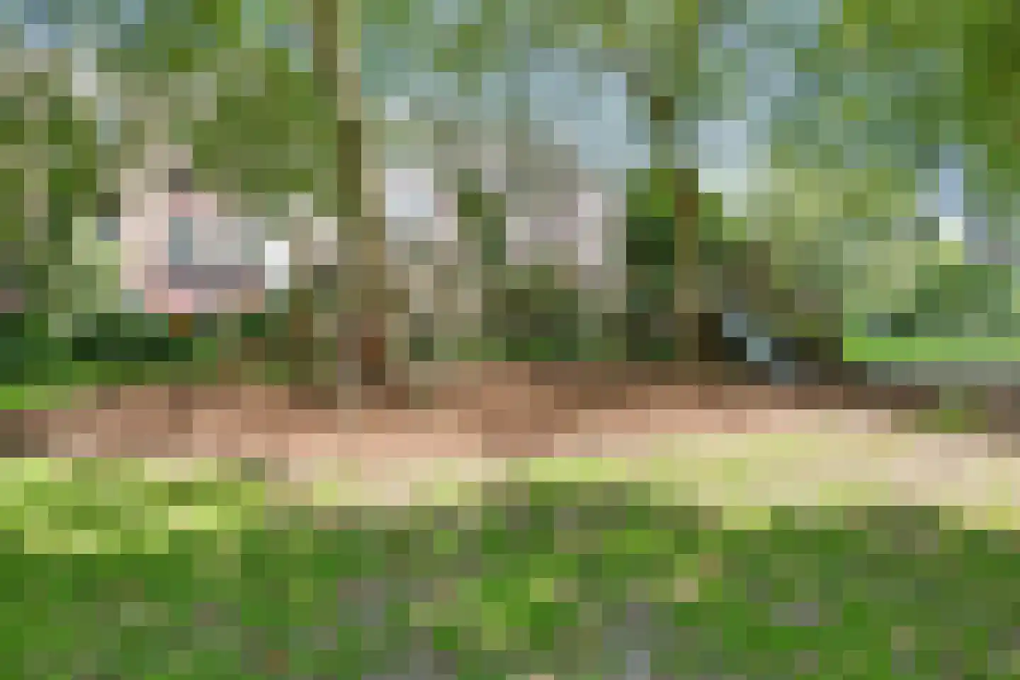 Weteringschans 161 T Amsterdam thumbnail 33