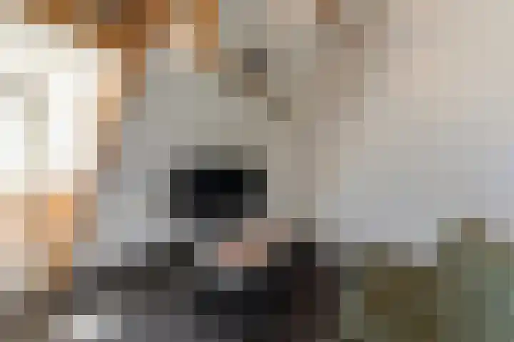 Weteringschans 193 E Amsterdam thumbnail 9