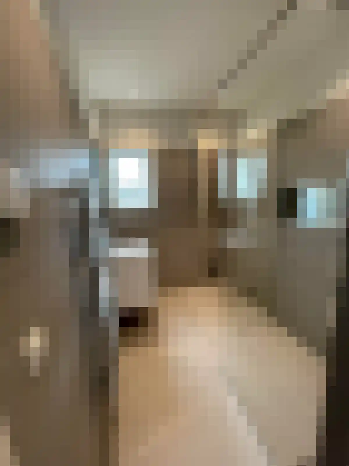 Weteringschans 211 Amsterdam thumbnail 5
