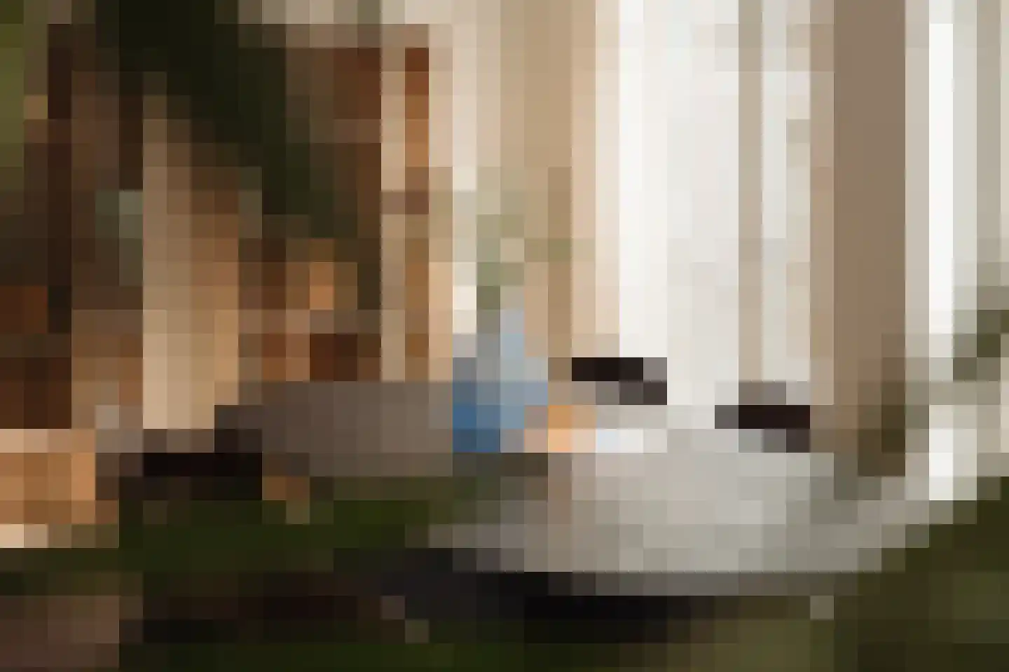 Weteringschans 213 E Amsterdam thumbnail 18