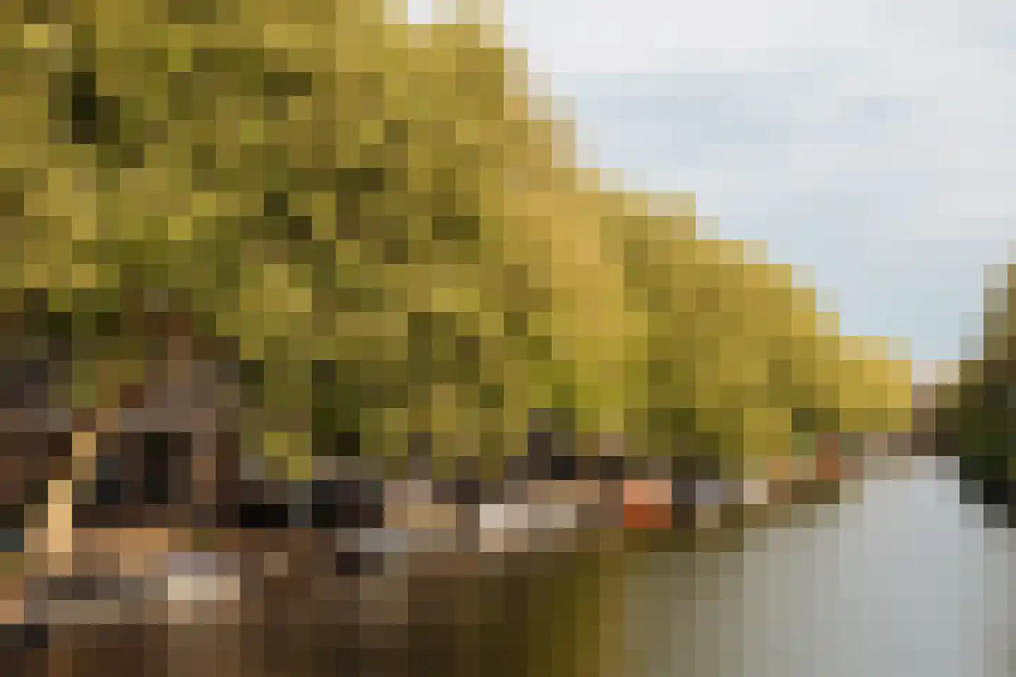 Weteringschans 213 E Amsterdam thumbnail 46