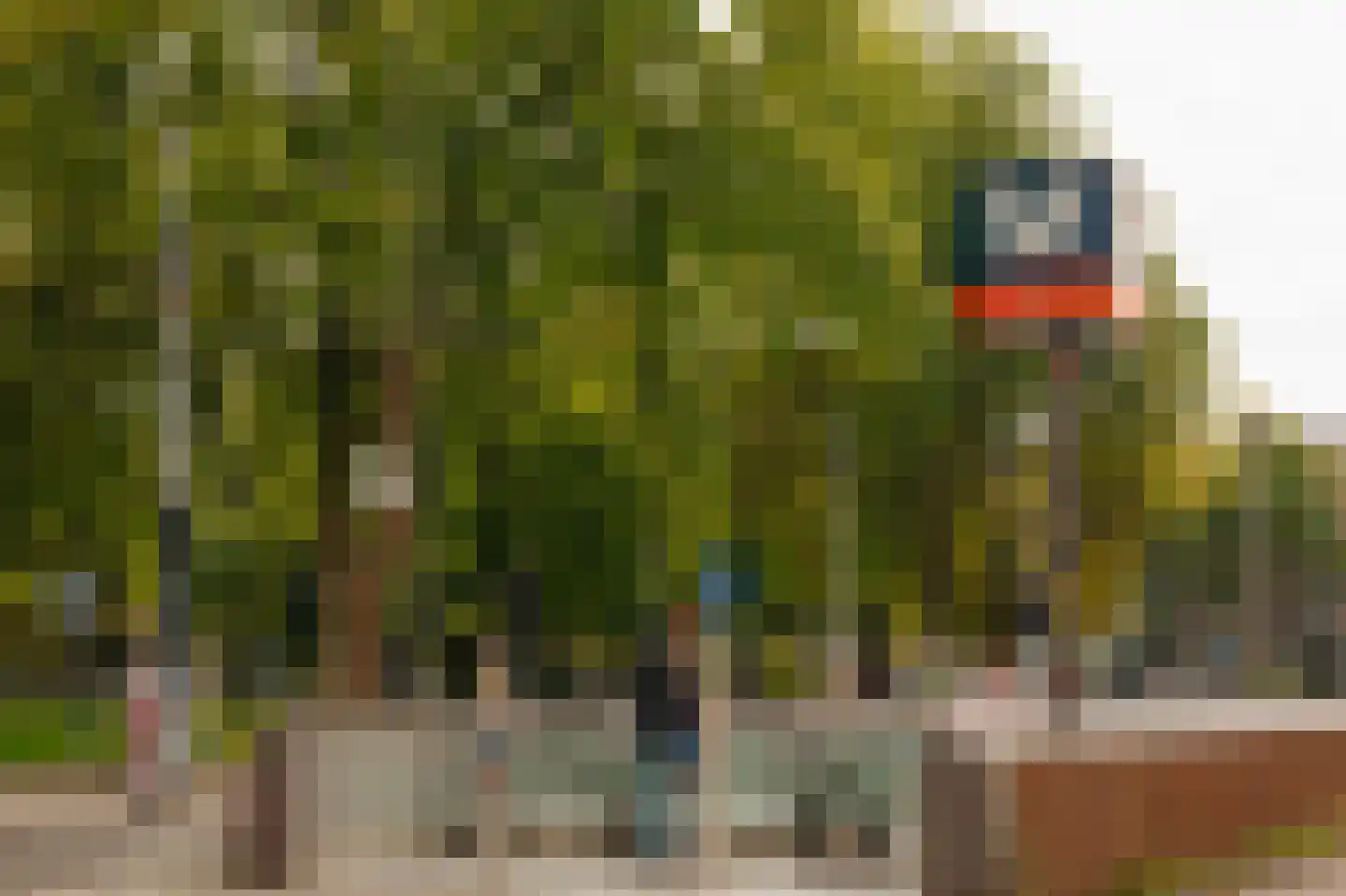 Weteringschans 213 E Amsterdam thumbnail 49