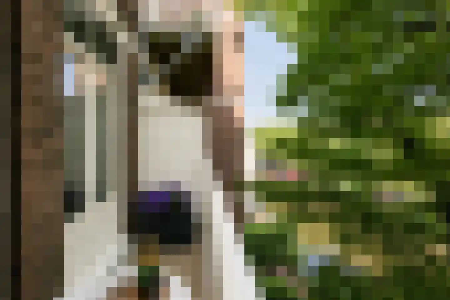Weteringschans 223 2 Amsterdam thumbnail 13