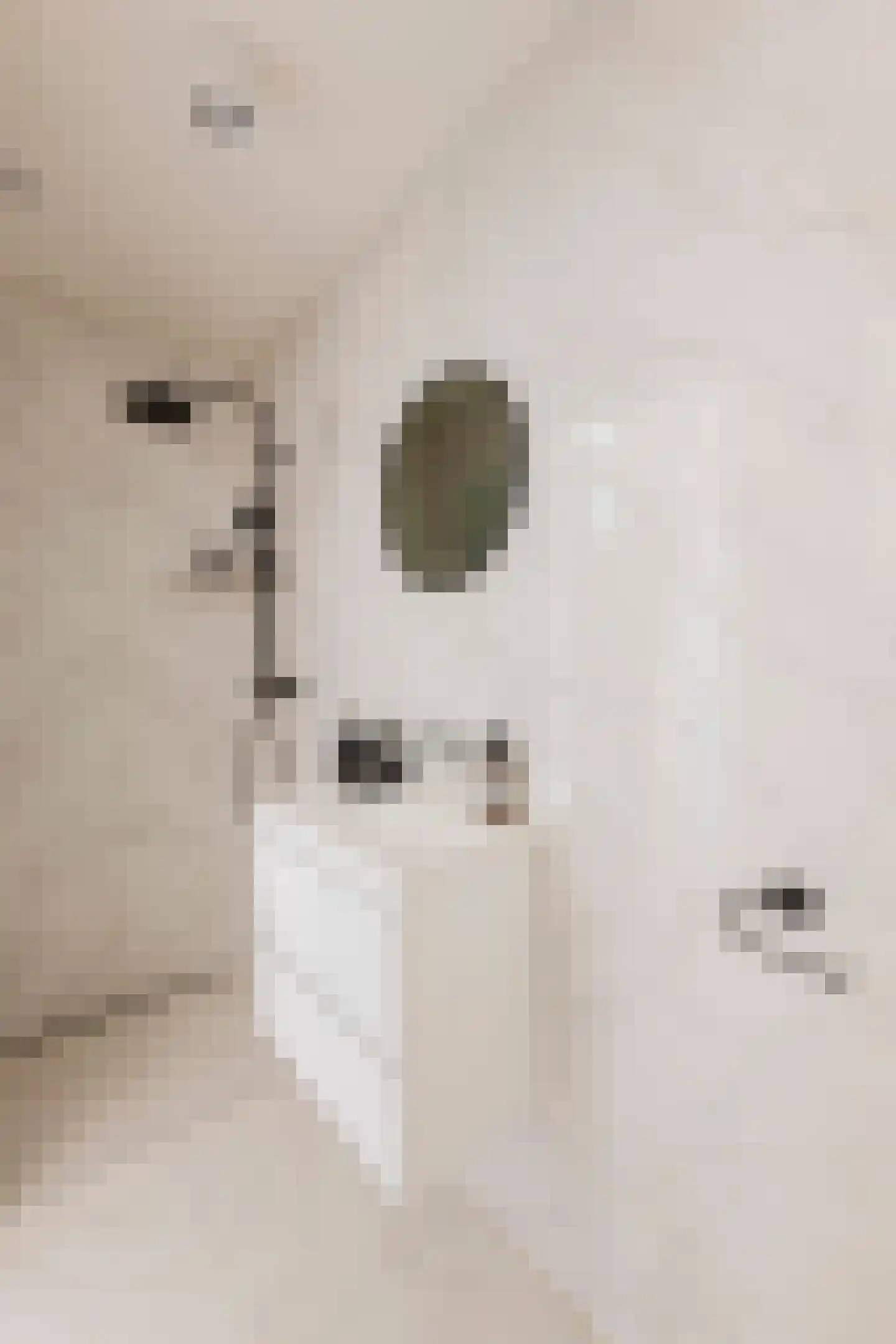 Weteringschans 223 2 Amsterdam thumbnail 19