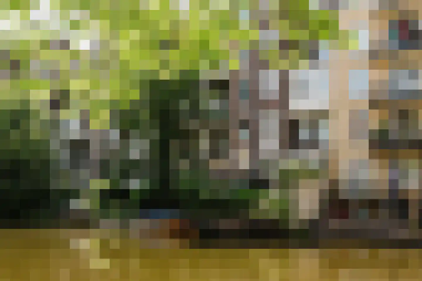 Weteringschans 223 2 Amsterdam thumbnail 21