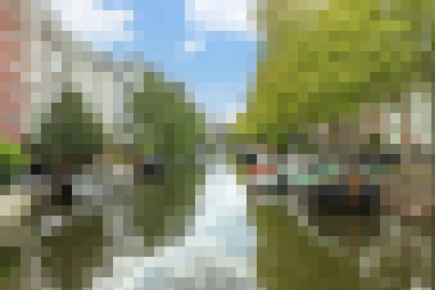 Weteringschans 239 A 2 Amsterdam thumbnail 17