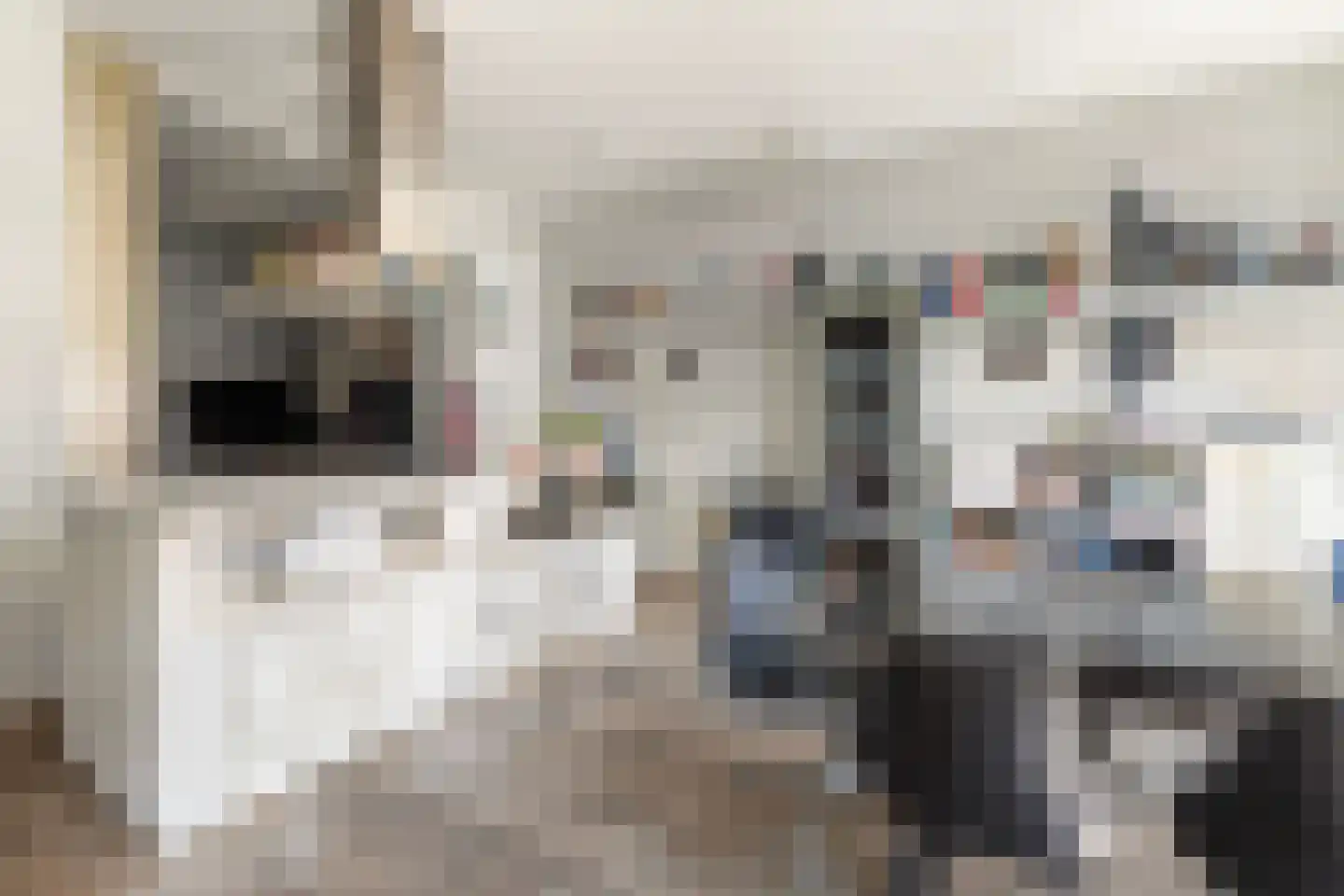 Weteringschans 239 B Amsterdam thumbnail 8