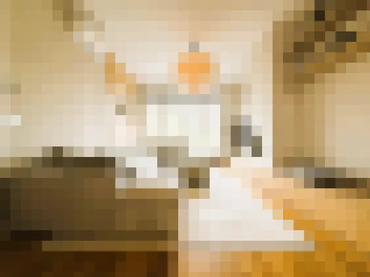 Weteringschans 249 Amsterdam thumbnail 5