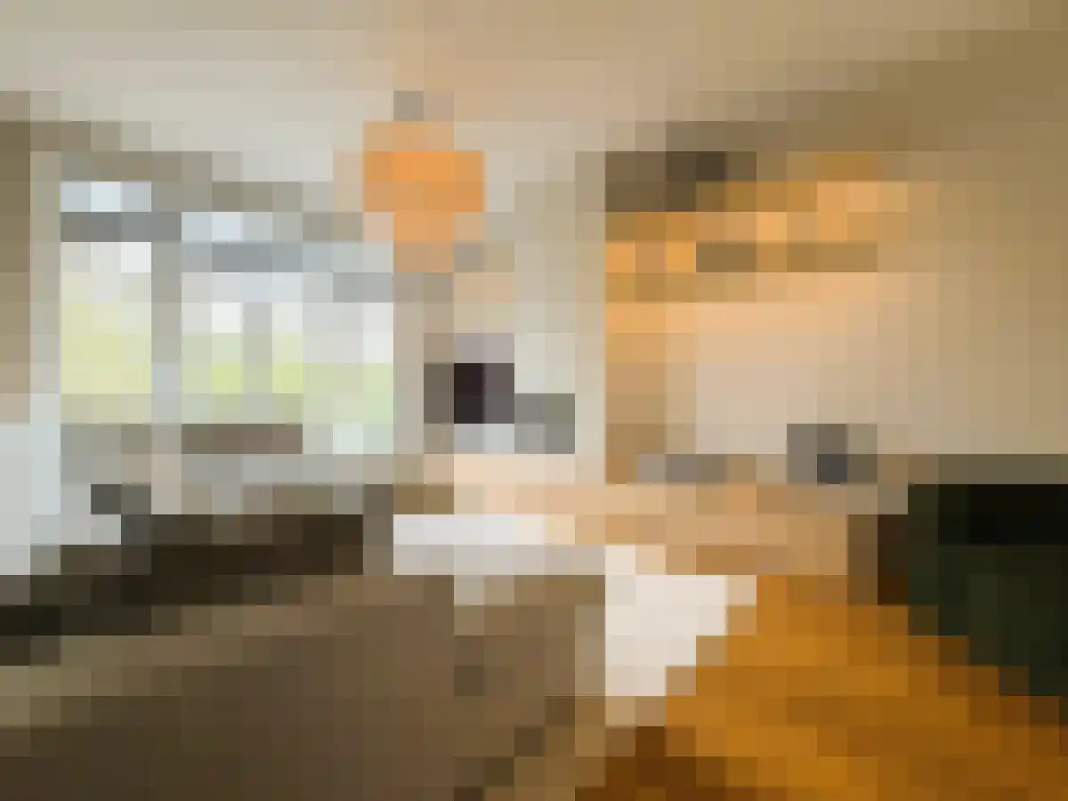 Weteringschans 249 Amsterdam thumbnail 6
